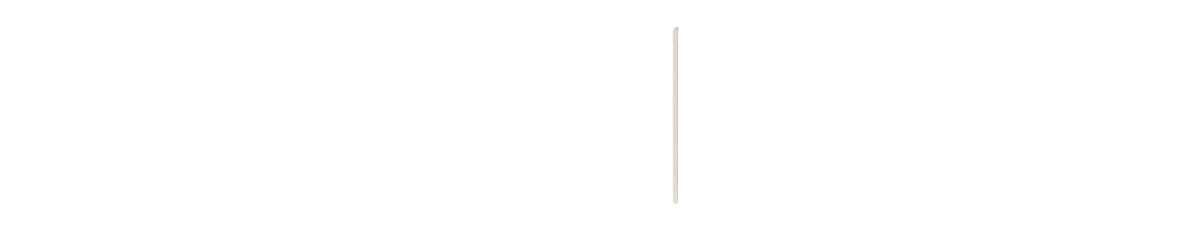 DVIIOS Business Platform