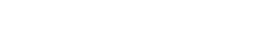 DVIIOS