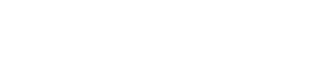 DVIIOS Business Platform